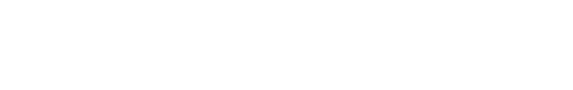 Risk — litigation, sanctions, red flags and compliance concerns
